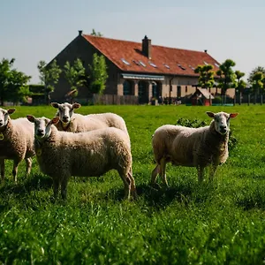 Hotel Hoevehotel Ter Haeghe, Gistel